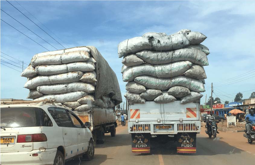 Charcoal delivery_Adam Branch